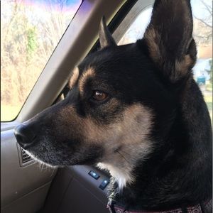 Meet your Posher, Missy